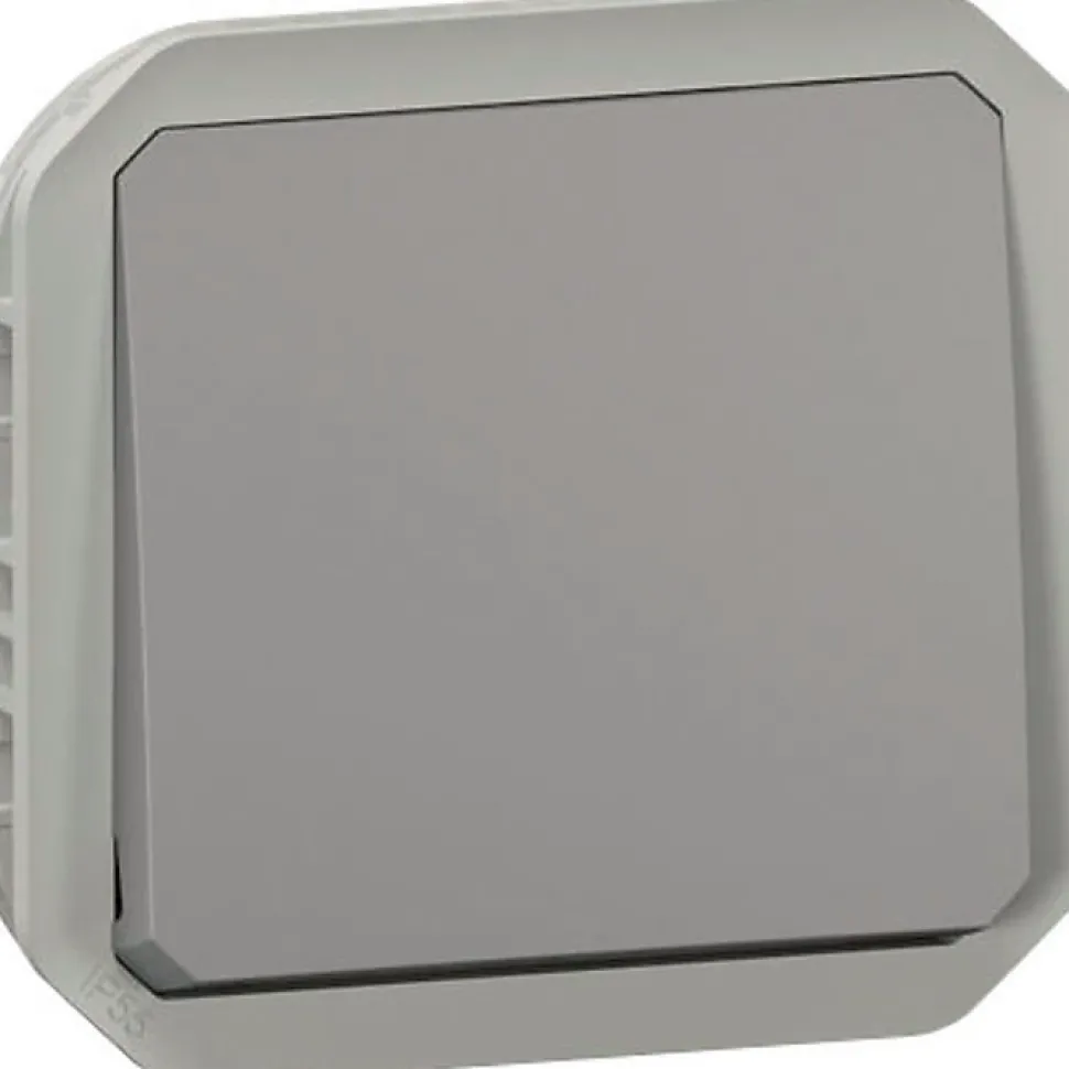 Interrupteurs - Plexo - Legrand - Encastré - Commande simple