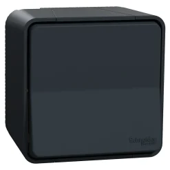 Interrupteur va-et-vient étanche complet saillie Schneider Electric Mureva Styl anthracite