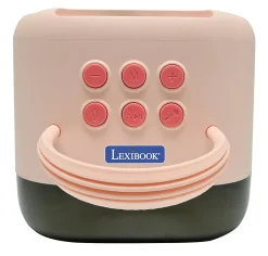 Karaoke Bluetooth Rose avec 2 micros sans fil
