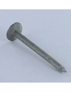 Kg de pointes ARDOISE Tête extra large TEL 3X40 Diamètre de tête: 12 Forte tenue à la corrosion Acier galvanisé - 1 pièce