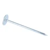 Kg de pointes Embase collerette RONDE Diamètre de tête: 20 Acier zingué 3.5X70 - 1 pièce