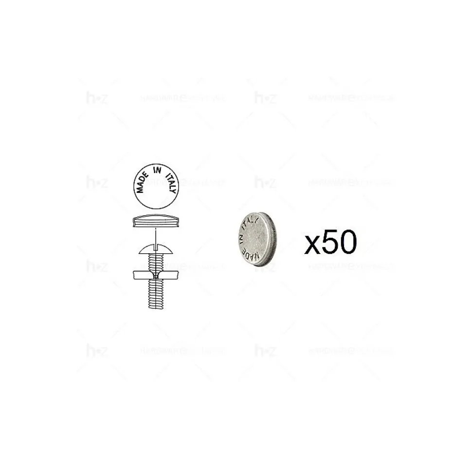 1 Kit composés de 50 cache-vis argent vieilli Lot de 25