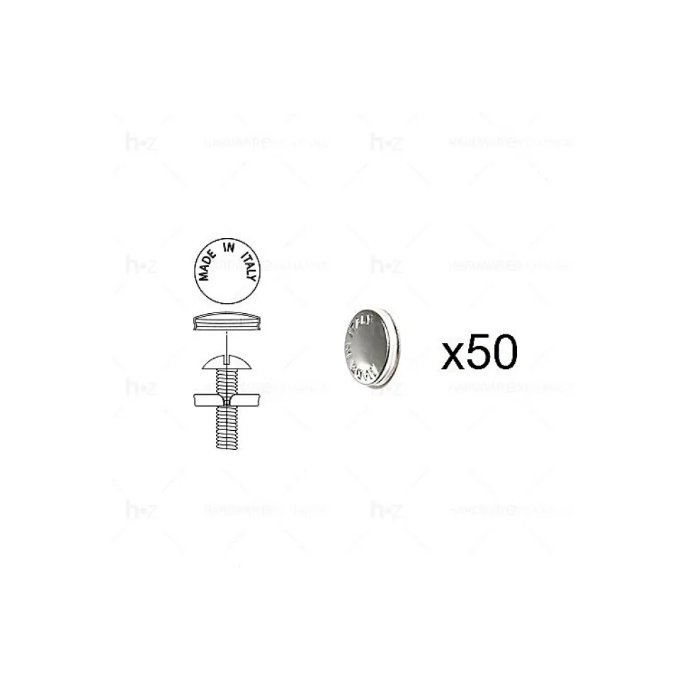 1 Kit composés de 50 cache-vis nickel brillant