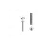 1 kit composés de 25 vis M4X30 mm zinguée