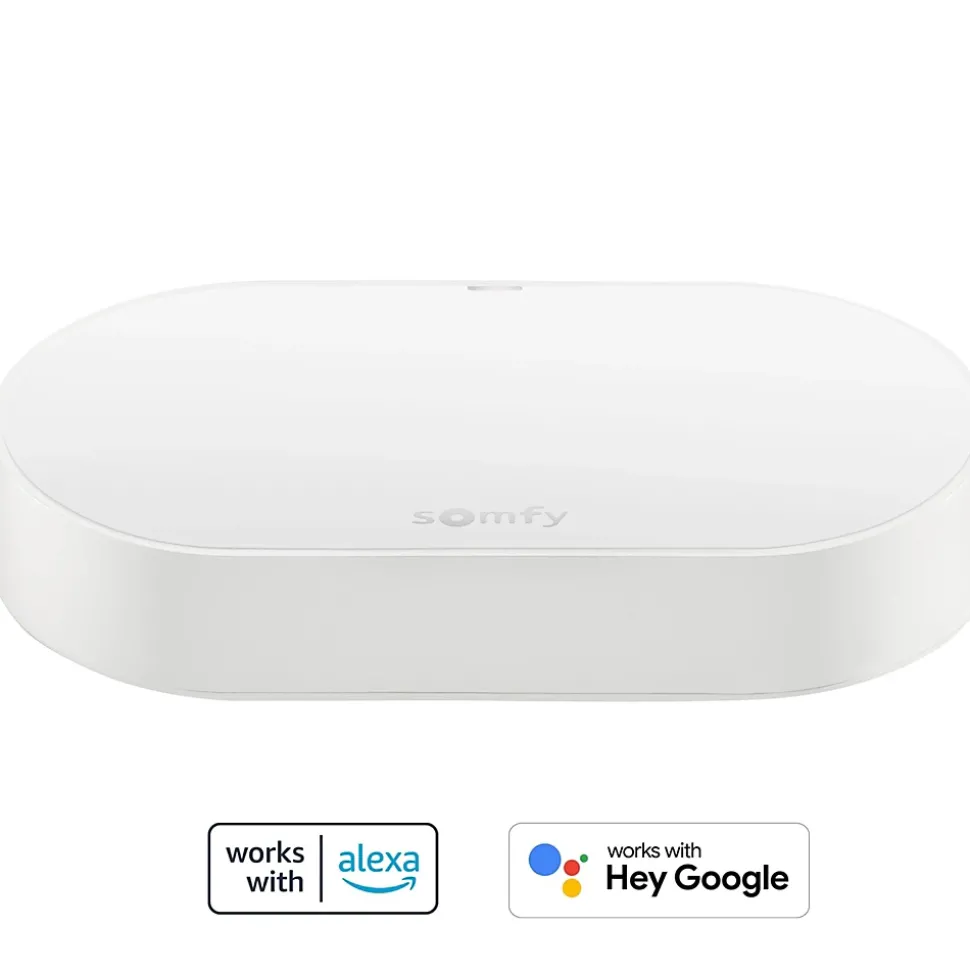 Kit de connectivité Somfy 1870755 pour contrôler les moteurs io & RTS et l’éclairage Somfy avec un smartphone