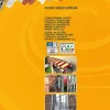 Kit de scellement FIS P 300 T Fischer
