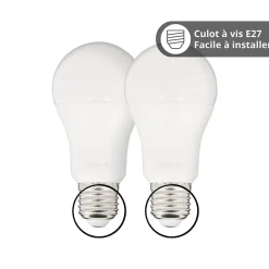 KOZii - Pack de 2 Ampoules LED connectées A60, culot E27, RVB avec télécommande connectée - KPACK2EE806GRVBCCT