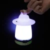 Lanterne de camping LED 80 lumens Diall autonomie 15h fonctionne avec 3 piles AA (LR6)