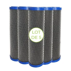 Lot de 5 Cartouches 2 en 1 Filtre à Eau 9 pouces 3/4 - Anti sédiments + Charbon actif 5 microns Fabriqué en France