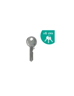 Lot de 2 verrous à bouton Apache pour porte d'entrée, cylindre 45mm, acier, 3 clés/verrou, époxy or - THIRARD