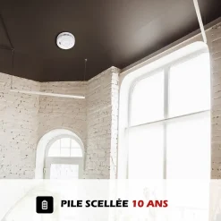 Lot de 2x Détecteur de fumée CE Pile 10 ans scellée connecté Wifi