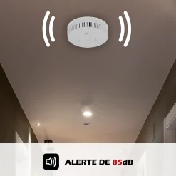 Lot de 2x Détecteur de fumée CE Pile 10 ans scellée connecté Wifi