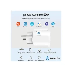Lot 2 prises connectées SomLife application tuya smart life controle de consomation Compatible avec Alexa/Google Home