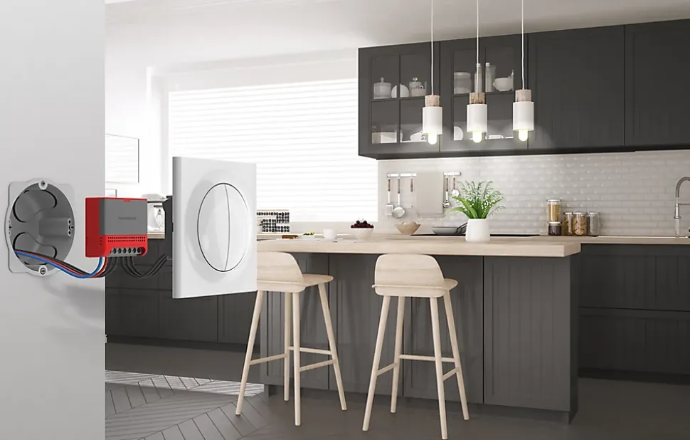 Micro module de commande éclairage Wifi pour interrupteur double