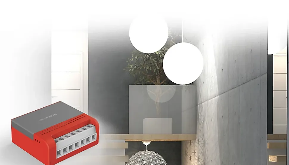 Micro module de commande éclairage Wifi pour interrupteur double