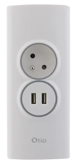 Multiprise d'angle 2P 16A + 2 USB à câbler - Blanc - Otio