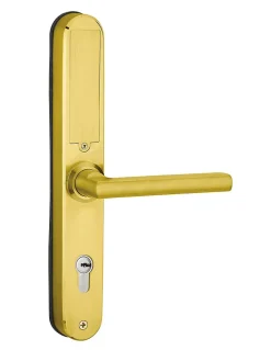 Paire de poignées connectées Intelock Multi, pour porte d'entrée, entr'axes 85mm, doré - INTELOCK