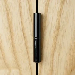 2 paumelles universelles 50 Epoxy Noir