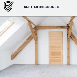 Peinture anti-condensation, anti odeur pour pièces humides Gris Basalte - RAL 7012 - 10 L - ARCANE INDUSTRIES