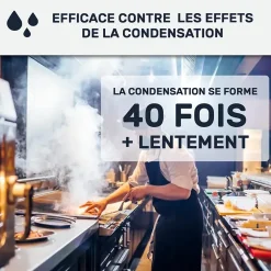 Peinture anti-condensation, anti odeur pour pièces humides Vert jonc - RAL 6013 - 10 L - ARCANE INDUSTRIES
