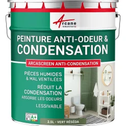 Peinture anti-condensation, anti odeur pour pièces humides Vert Réséda - RAL 6011 - 2.5 L - ARCANE INDUSTRIES