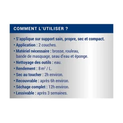 Peinture anti-condensation intérieur mat blanc Ripolin 0,75L