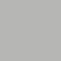 Peinture anti-humidité intérieur satin gris lome Ripolin 2,5L
