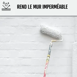 Peinture anti humidité mur humide salle de bain - ARCASCREEN - 0.75 L (jusqu'à 3 m²) - ARCANE INDUSTRIES