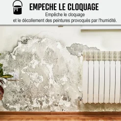 Peinture anti humidité mur humide salle de bain - ARCASCREEN - 0.75 L (jusqu'à 3 m²) - ARCANE INDUSTRIES