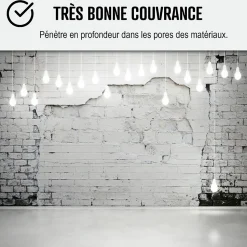 Peinture anti humidité mur humide salle de bain - ARCASCREEN - 0.75 L (jusqu'à 3 m²) - ARCANE INDUSTRIES