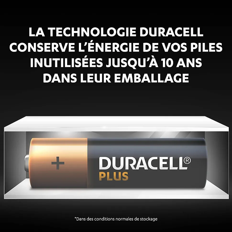 Pile alcaline AA (LR6) Duracell Plus, lot de 6
