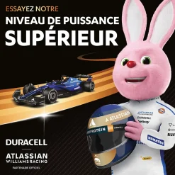 Piles alcaline AAA LR3 Duracell Plus Powerboost - lot de 12