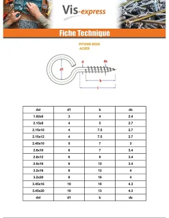 Piton Bois 2.5X10 Oeil 6 Acier zingué ROUILLES - 10 pièces