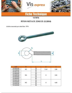 Piton Métaux M6X100 Diamètre Oeil 10 Acier zingué - 30 pièces