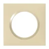 Plaque de finition 1 poste Legrand Dooxie 6 008 11 coloris dune mat avec bague dune brillante l.87 x P.10 x H.87 mm