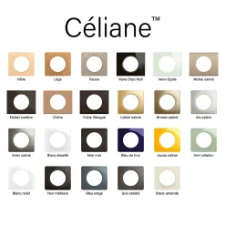 Plaque de finition 1 poste Legrand Céliane CP0521 coloris vert céladon l.90 x P.9 x H.82 mm