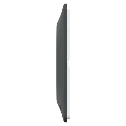 Plaque de finition 1 poste Schneider Electric Ovalis S340702E coloris anthracite avec liseré laiton l.87 x P.10 x H.87 mm