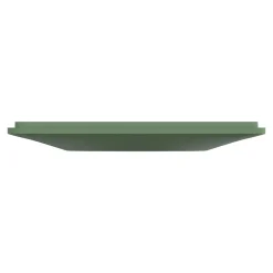 Plaque de finition 1 poste Schneider Electric Ovalis S320702B coloris vert forêt l.87 x P.10 x H.87 mm