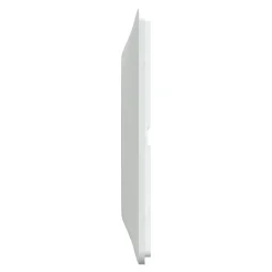 Plaque de finition 1 poste Schneider Electric Ovalis S320702D coloris blanc avec liseré laiton l.87 x P.10 x H.87 mm