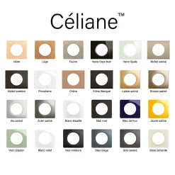 Plaque de finition 2 postes Legrand Céliane CP2102 coloris nickel satiné l.172 x P.9 x H.83 mm
