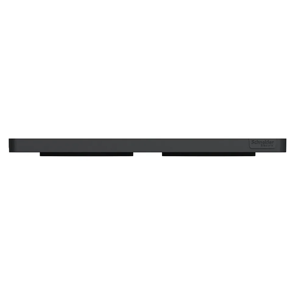 Plaque de finition 2 postes Schneider Electric Odace Touch S540804L coloris bronze avec liseré anthracite l.156 x P.10 x H.85 mm