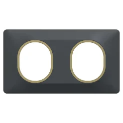 Plaque de finition 2 postes Schneider Electric Ovalis S340704E coloris anthracite avec liseré laiton l.158 x P.10 x H.87 mm