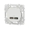 Prise chargeur USB double type C Blanc craie Schneider Odace