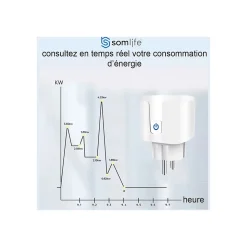 Prise connectée SomLife application tuya smart life contrôle de consommation Compatible avec Alexa/Google Home