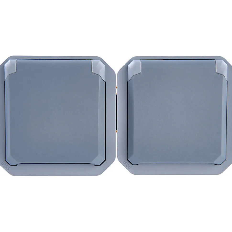 Prise de courant étanche - Plexo - Composable - Legrand - 2 x 2P+T - 16 A - Gris - IP55 - Horizontale - Précâblée