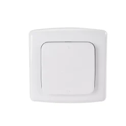 Prise intérieure 3680W connectée Wifi + Interrupteur + Télécommande