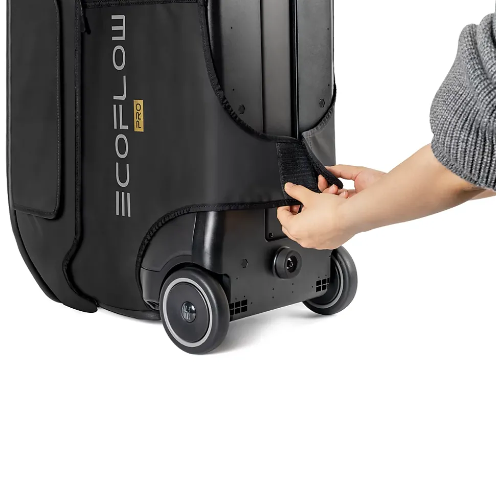 Sac de rangement EcoFlow pour Delta Pro
