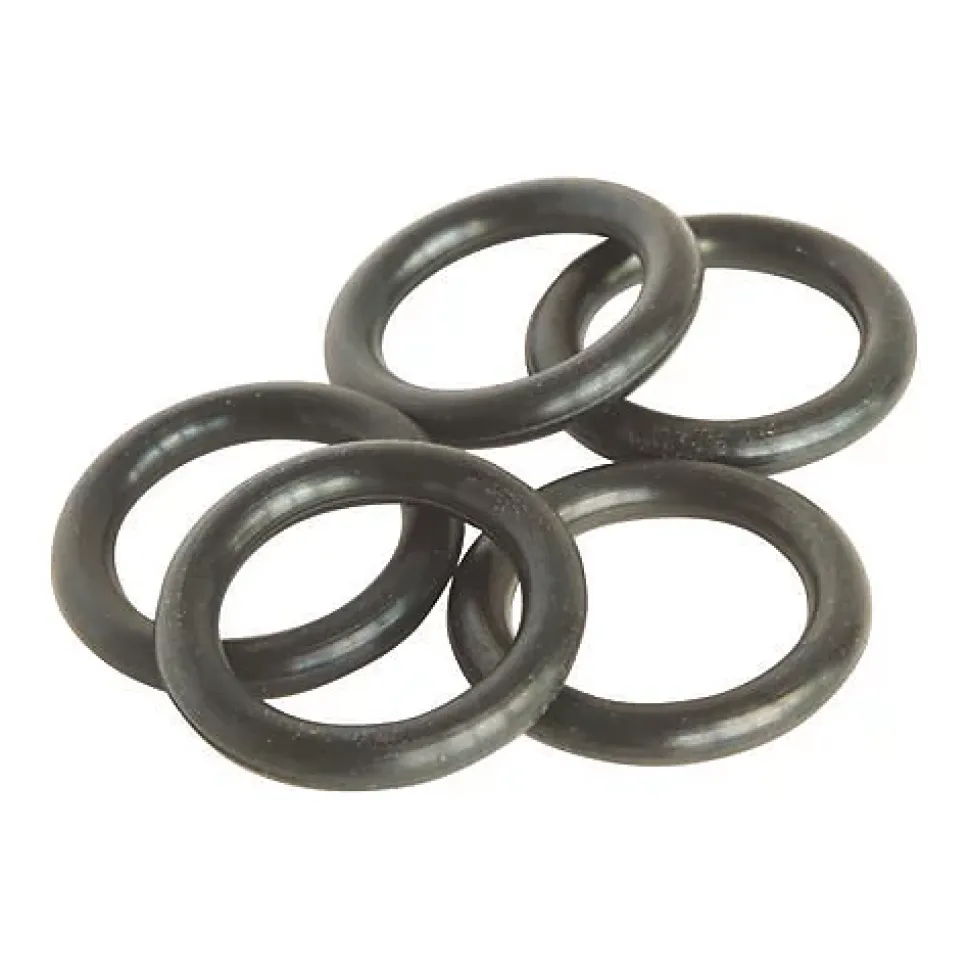 Somatherm For You - Lot de 10 joints toriques n5A