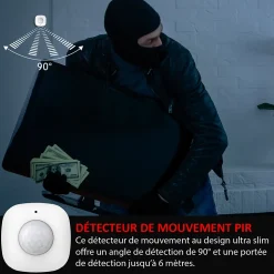 Système d'alarme 868Mhz Wifi, sirène extérieure solaire ,caméra IP