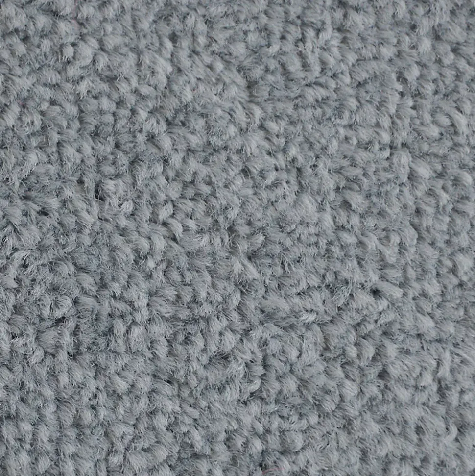 Tapis de Porte Paillasson d'entrée Monochrom Gris argent 40 x 60 cm